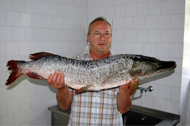 Nevjerovatan ulov iz Plavskog jezera